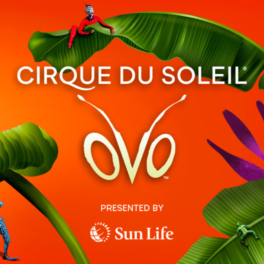 Cirque Du Soleil- OVO Hotel Packages - Wyndham Garden Niagara Falls Fallsview