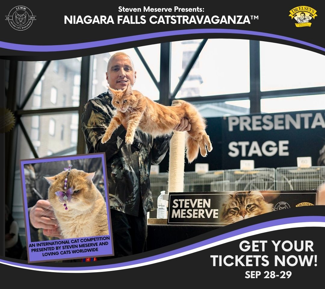 Niagara Falls CATstravaganza Hotel Packages - Wyndham Fallsview Hotel