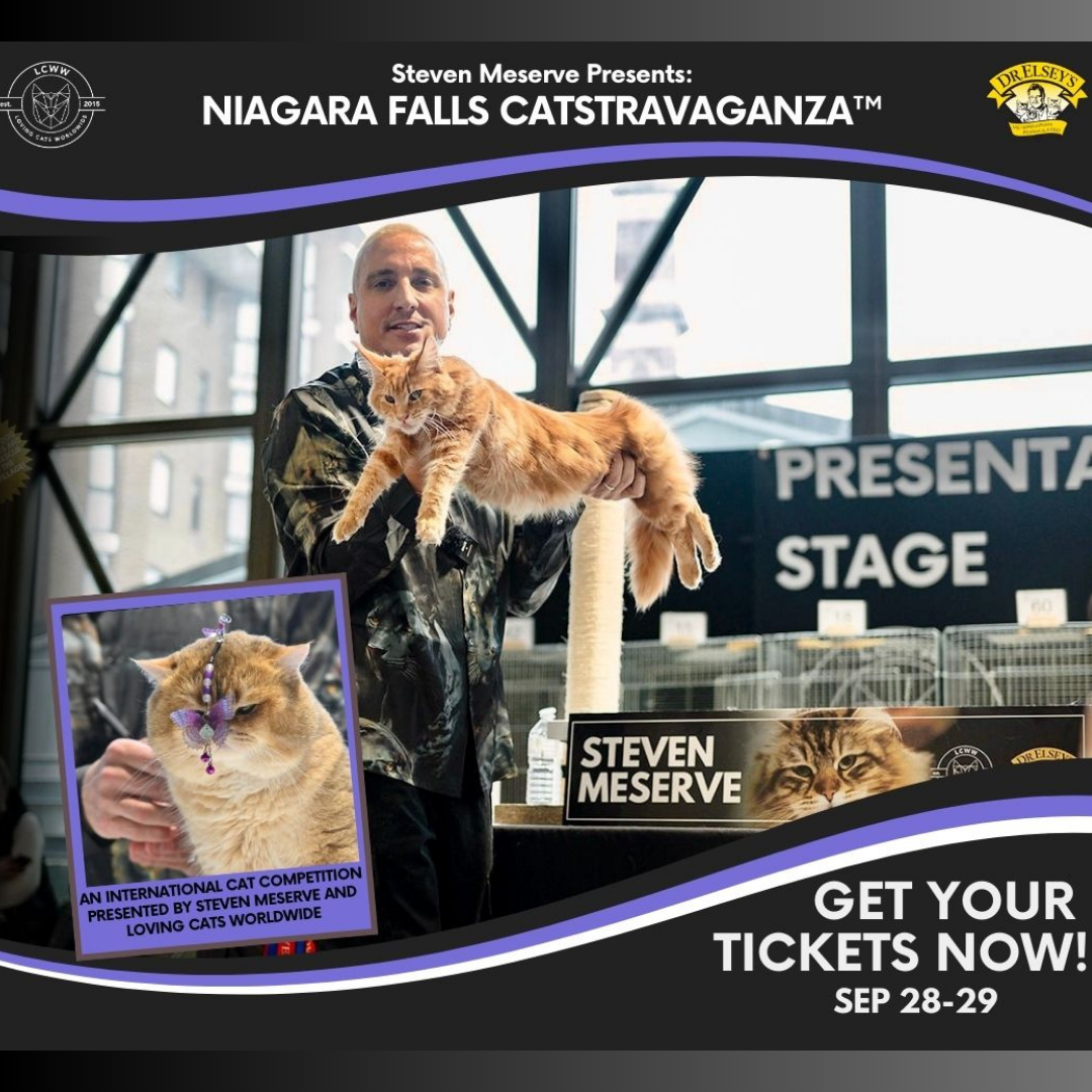 Niagara Falls CATstravaganza